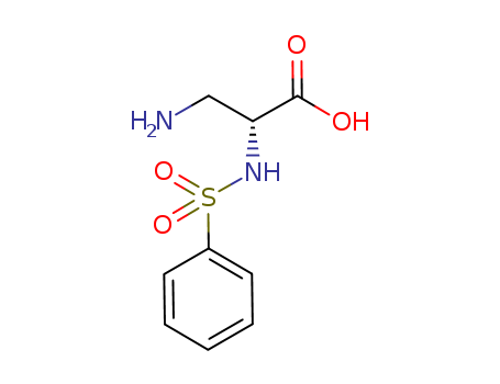 3-AMINO-(2R)-PHENYLSULFONYLAMINO-PROPANOIC ACID