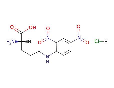 2-Amino-5-(2,4-dinitroanilino)pentanoic acid;hydrochloride