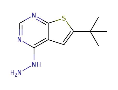 Molecular Structure of 439692-56-5 (6-(tert-butyl)-4-hydrazinothieno[2,3-d]pyrimidine)