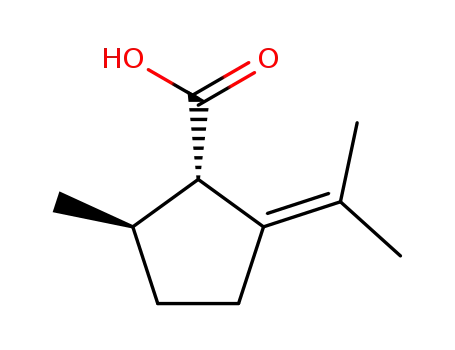 (1S)-2-이소프로필리덴-5β-메틸시클로펜탄-1α-카르복실산