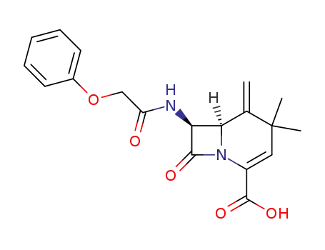 Molecular Structure of 100367-05-3 ((+/-)-(6R,7S)-1-methylene-2,2-dimethyl-7-(phenoxyacetamido)-1-carbacephem-4-carboxylic acid)