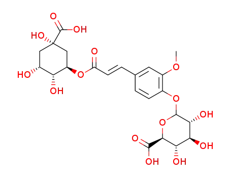 5-feruloylquinic acid 4'-O-glucuronide