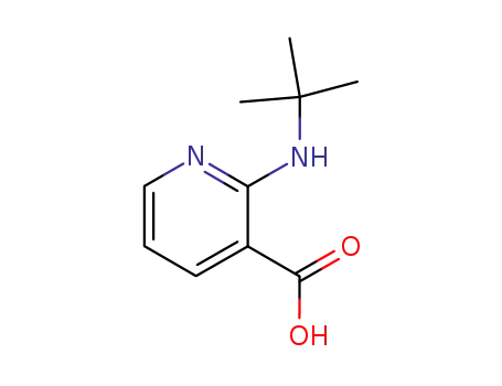 2-(Tert-butylamino)nicotinic acid