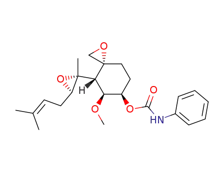 6-O-phenylcarbamoylfumagillol
