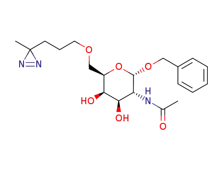 Benzyl-2-acetamido-2-desoxy-6-O-(4,4-azipentyl)-α-D-galactopyranosid