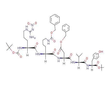 Molecular Structure of 100102-94-1 (Boc-Arg(NO<sub>2</sub>)-Lys(Z)-Asp(OBzl)-Val-Tyr-OBu<sup>t</sup>)