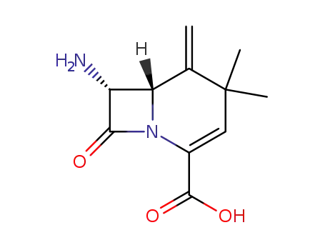 (+/-)-1-methylene-2,2-dimethyl-7-aminoo-1-carbacephem-4-carboxylic acid