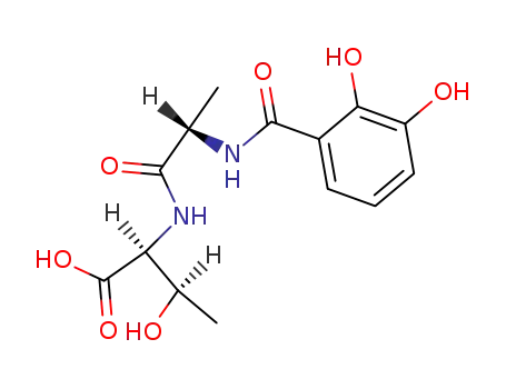 Molecular Structure of 88167-28-6 ((2,3-dihydroxybenzoyl)-L-alanyl-L-threonine)