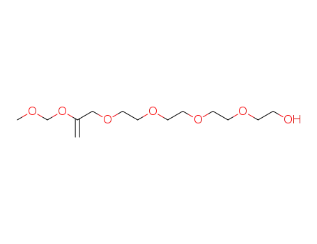 Molecular Structure of 677746-04-2 (2,4,7,10,13,16-Hexaoxaoctadecan-18-ol, 5-methylene-)