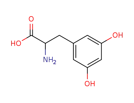 Molecular Structure of 587-62-2 (2-AMino-3-(3,5-dihydroxyphenyl)propanoic acid)