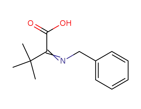 Molecular Structure of 92040-68-1 (2-Benzylimino-3,3,3-trimethyl-propionsaeure)