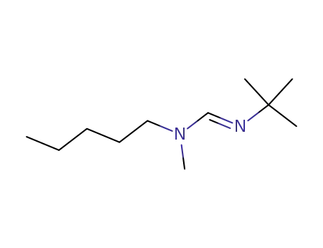N-methyl-N-pentyl-N'-tert-butylformamidine