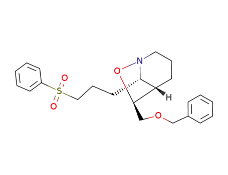 (5R*,6S*,8R*)-6-benzyloxymethyl-8-<3-(phenylsulfonyl)propyl>-7-oxa-1-azabicyclo<3.2.1>octane