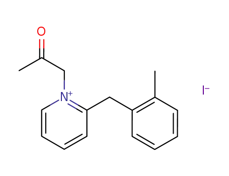 Molecular Structure of 109596-31-8 (1-acetonyl-2-(2-methyl-benzyl)-pyridinium; iodide)