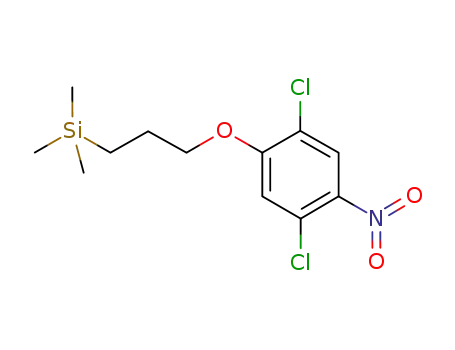 [3-(2,5-dichloro-4-nitrophenoxy)propyl]trimethylsilane