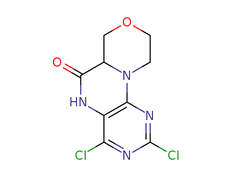 Molecular Structure of 1268474-55-0 (2,4-dichloro-6a,7,9,10-tetrahydro-[1,4]oxazino[3,4-h]pteridin-6(5H)-one)