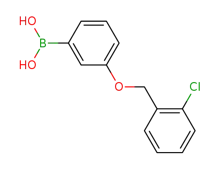 Molecular Structure of 845551-45-3 (3-(2'-CHLOROBENZYLOXY)PHENYLBORONIC ACID)