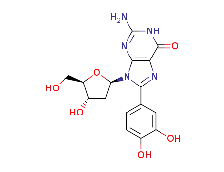 8-(3'',4''-dihydroxyphenyl)-2'-deoxyguanosine