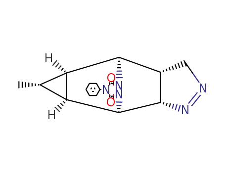 anti-9-Methyl-3,4,11,12-tetraza-exo,endo-tetracyclo<5.3.2.0<sup>2,6</sup>.0<sup>8,10</sup>>dodec-3-en-11,12-dicarbonsaeure-phenylimid