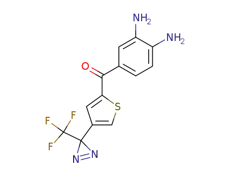 Methanone,
(3,4-diaminophenyl)[4-[3-(trifluoromethyl)-3H-diazirin-3-yl]-2-thienyl]-