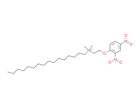 Molecular Structure of 61095-52-1 (1-Hexadecanaminium, N-[2-(2,4-dinitrophenoxy)ethyl]-N,N-dimethyl-)