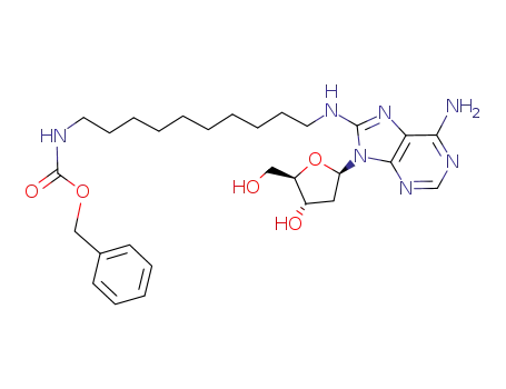 8-<10-(benzyloxycarbonyl)aminodecyl>-amino-2'-deoxyadenosine