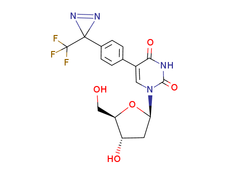 2'-deoxy-5-[4-[3-(trifluoromethyl)-3H-diazirin-3-yl]phenyl]uridine