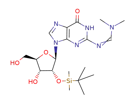 2'-O-(tert-butyldimethylsilyl)-2-N-(dimethylaminomethylene)guanosine