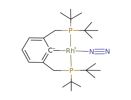 Molecular Structure of 219832-01-6 ((2,6-bis[(di-tert-butylphosphino)methyl]phenyl)rhodium dinitrogen)