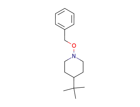 1-(benzyloxy)-4-tert-butylpiperidine