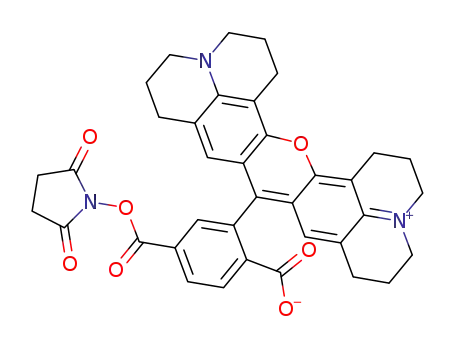 Molecular Structure of 216699-36-4 (6-ROX, SE)