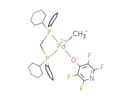 [PdMe(OC<sub>5</sub>NF<sub>4</sub>)(Cy<sub>2</sub>PCH<sub>2</sub>PCy<sub>2</sub>)]