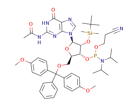 2'-O-[(tert-부틸)디메틸실릴]-N-아세틸구아노신-3'-(2-시아노에틸-N,N-디이소프로필)포스포르아미다이트