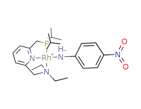 [Rh(2-(CH<sub>2</sub>-PtBu<sub>2</sub>)-6-(CH<sub>2</sub>-NEt<sub>2</sub>)C<sub>5</sub>H<sub>3</sub>N)(p-NO<sub>2</sub>-NHC<sub>6</sub>H<sub>4</sub>)]