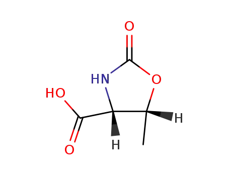 Molecular Structure of 1195-19-3 (5-methyl-2-oxo-1,3-oxazolidine-4-carboxylic acid)
