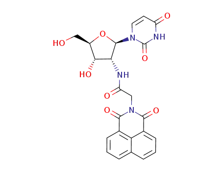 2'-[2-(1,8-naphthalimide)acetamide]-2'-deoxyuridine