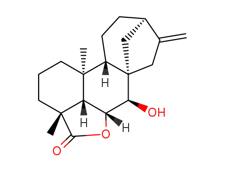 Molecular Structure of 5691-63-4 (6α,7β-Dihydroxykaur-16-en-18-oic acid γ-lactone)