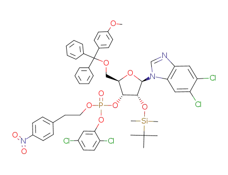1-(2-O-tert-butyldimethylsilyl-5-O-p-methoxytrityl-β-D-ribofuranosyl)-5,6-dichlorobenzimidazole 3'-<2,5-dichlorophenyl 2-(4-nitrophenyl)ethyl phosphate>