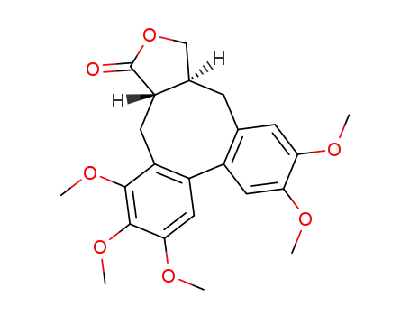 Neoisostegane