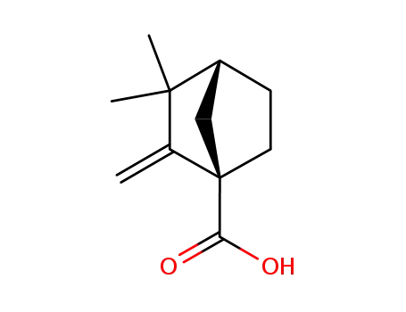 Molecular Structure of 10309-20-3 (3,3-DIMETHYL-2-METHYLENE-BICYCLO[2.2.1]HEPTANE-1-CARBOXYLIC ACID)