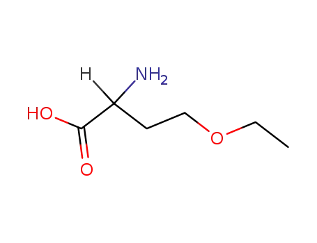 Molecular Structure of 17804-70-5 (O-ethyl-L-homoserine)