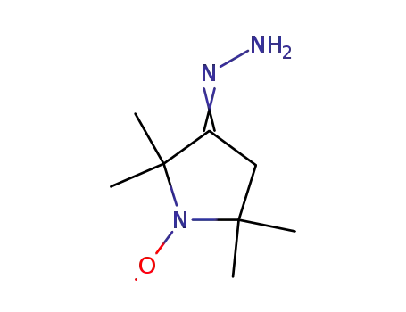 Molecular Structure of 19805-82-4 (2,2,5,5-tetramethyl-3-pyrrolidone-1-oxyl hydrazone)