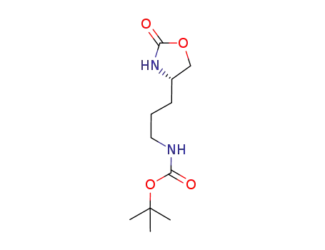 (4S)-4-(3-tert-butoxycarbonylamino)propyl-2-oxazolidinone