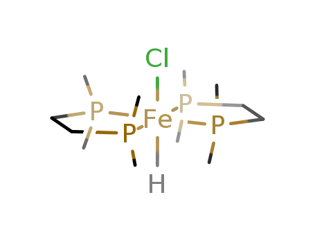trans-FeHCl(dmpe)2