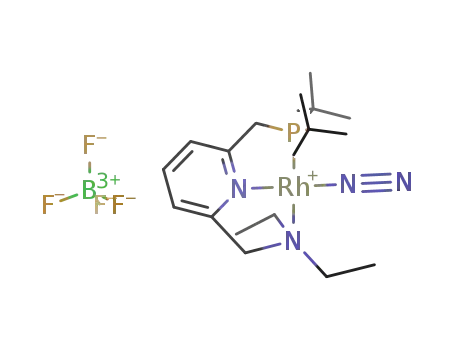 [Rh(2-(CH<sub>2</sub>-PtBu<sub>2</sub>)-6-(CH<sub>2</sub>-NEt<sub>2</sub>)C<sub>5</sub>H<sub>3</sub>N)N<sub>2</sub>]BF<sub>4</sub>