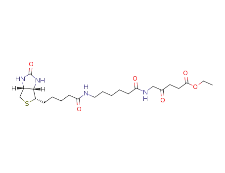 Molecular Structure of 1412905-20-4 (ethyl 4-oxo-5-(6-(5-((3aS,4S,6aR)-2-oxohexahydro-1H-thieno[3,4-d]imidazol-4-yl)pentanamido)hexanamido)pentanoate)
