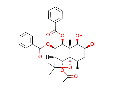 Angulatueoid G