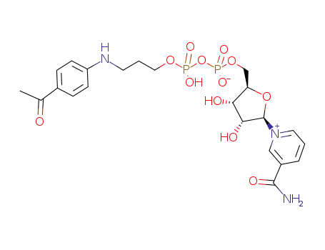 4'-(3-<Nicotinamidribosid-5'-diphospho-(P<sup>2</sup>)>propylamino)acetophenon
