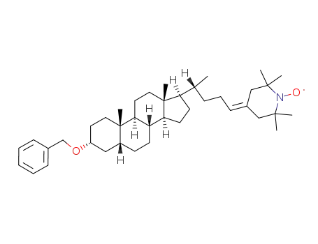 4'-(3α-benzyloxychol-24-en)-2',2',6',6'-tetramethylpiperidine-1'-oxyl