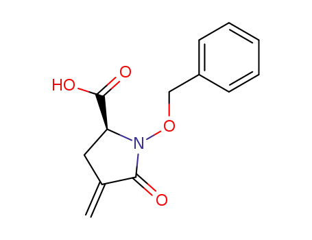 (S)-1-Benzyloxy-4-methylene-5-oxo-pyrrolidine-2-carboxylic acid